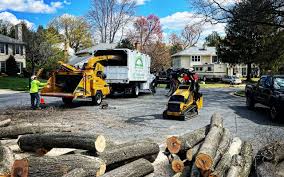  Olathe, KS Tree Care Pros